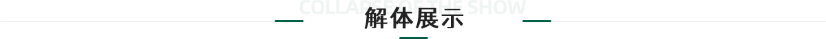 解体展示